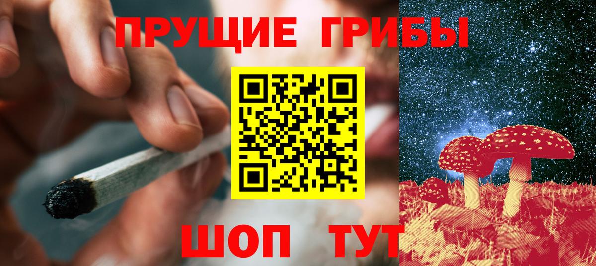Псилоцибиновые грибы прущие грибы Гулькевичи