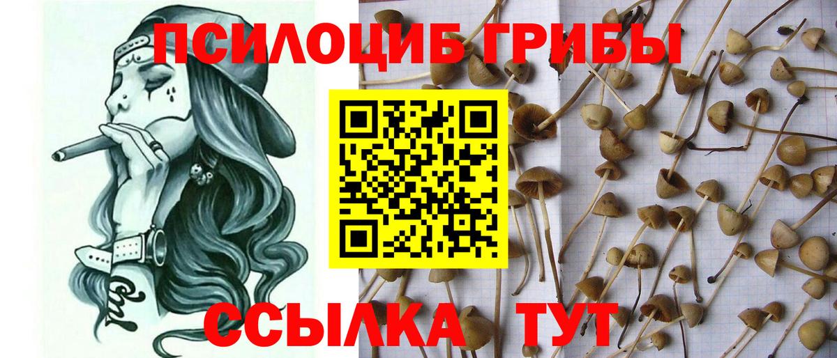 Псилоцибиновые грибы ЛСД  Вход с VPN  Гулькевичи 